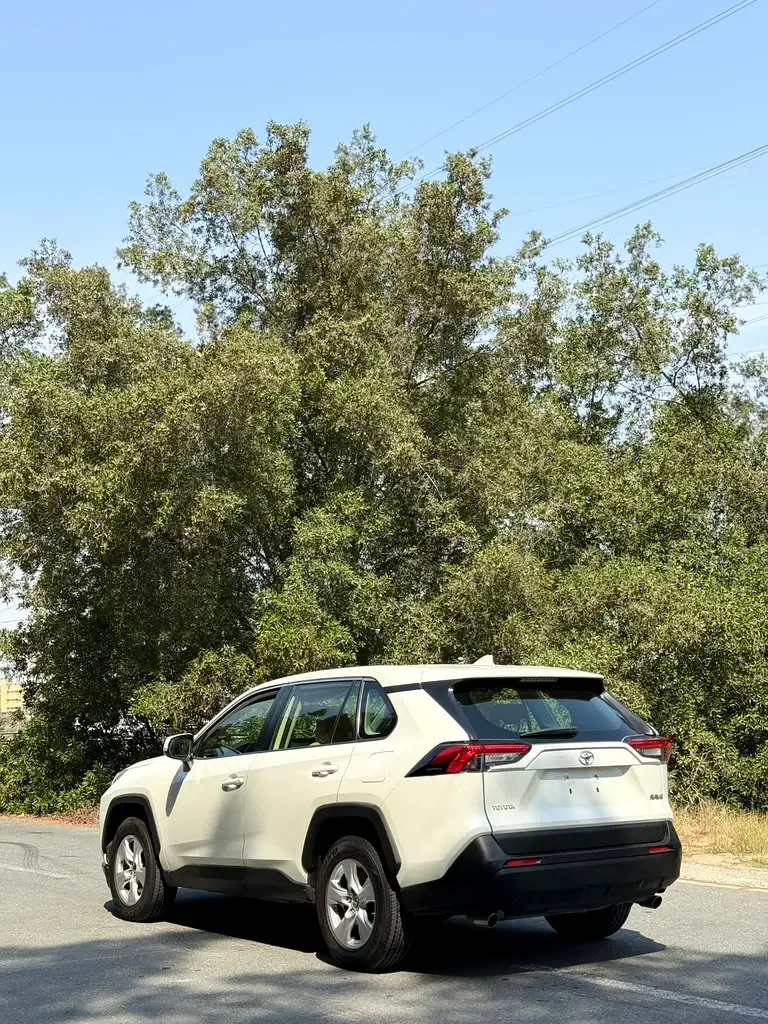 Toyota RAV4 2.5 AT 4WD (205 حصان) - 3