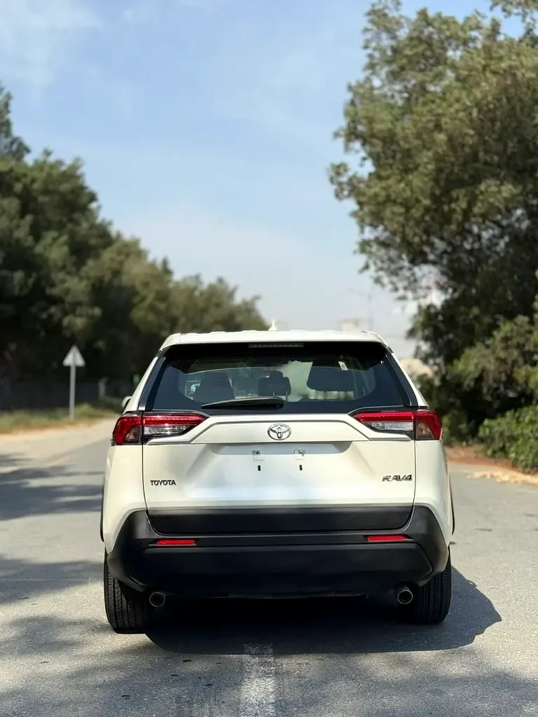 Toyota RAV4 2.5 AT 4WD (205 حصان) - 4