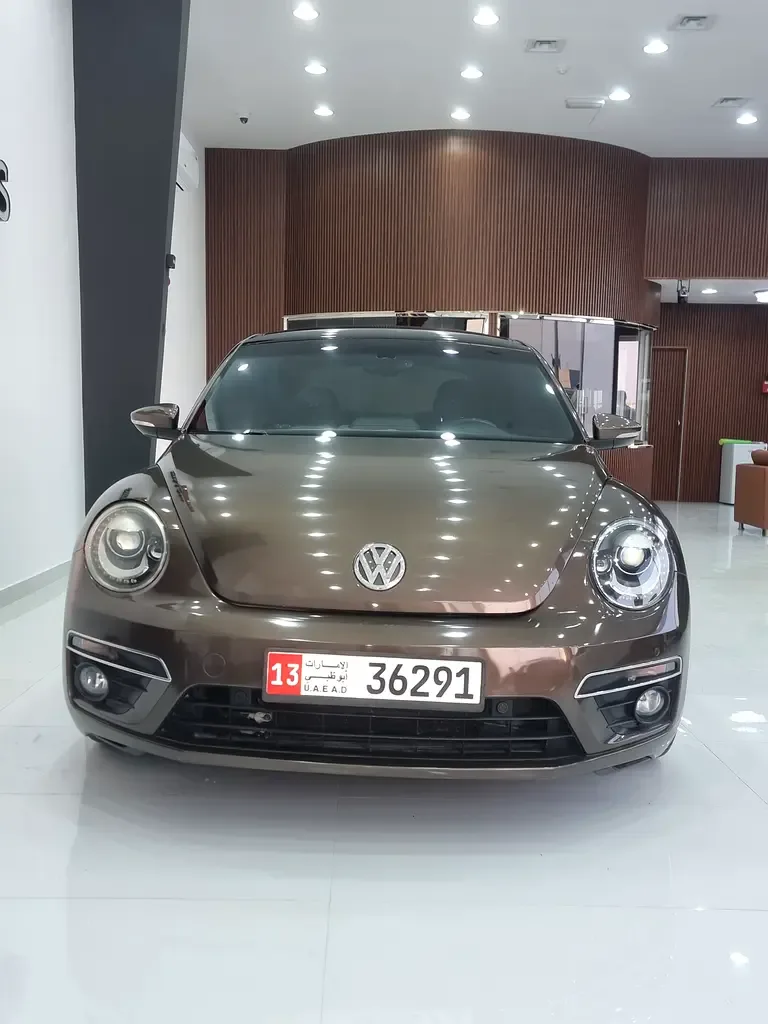 Volkswagen Beetle 2.0 TSI DSG (200 hp)