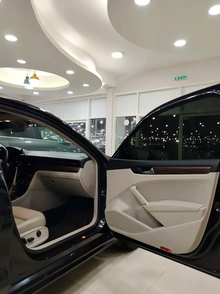 Volkswagen Passat 2.0 AMT (190 حصان) - 14