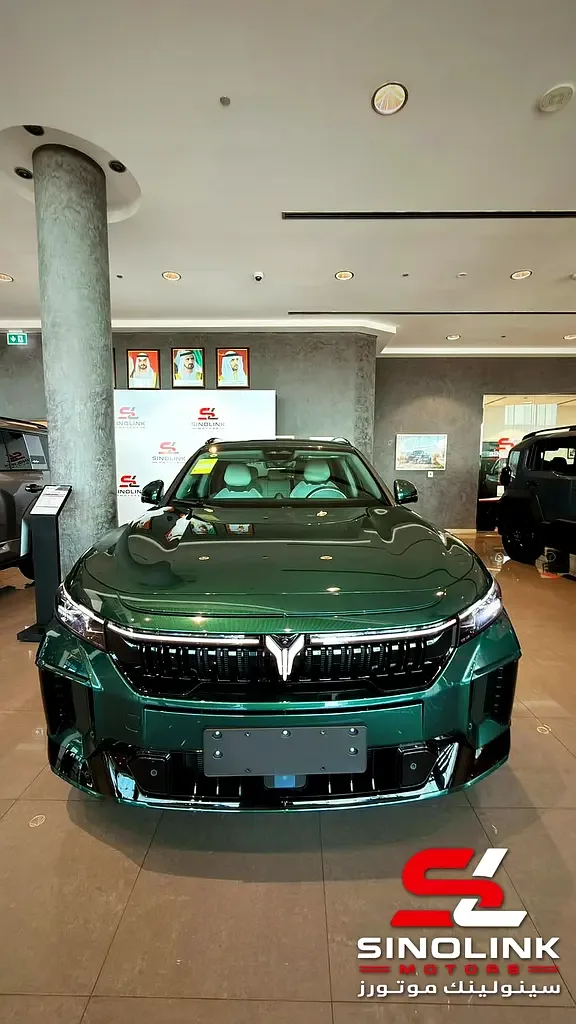 Voyah Free 1.5 AT 4WD (490 hp) - 6