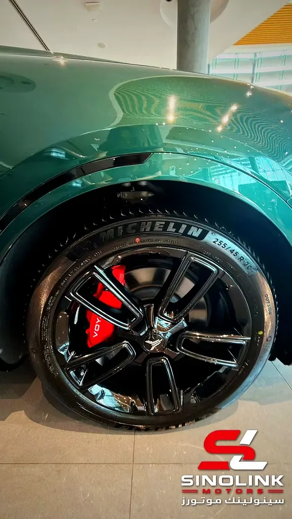 Voyah Free 1.5 AT 4WD (490 hp) - 5
