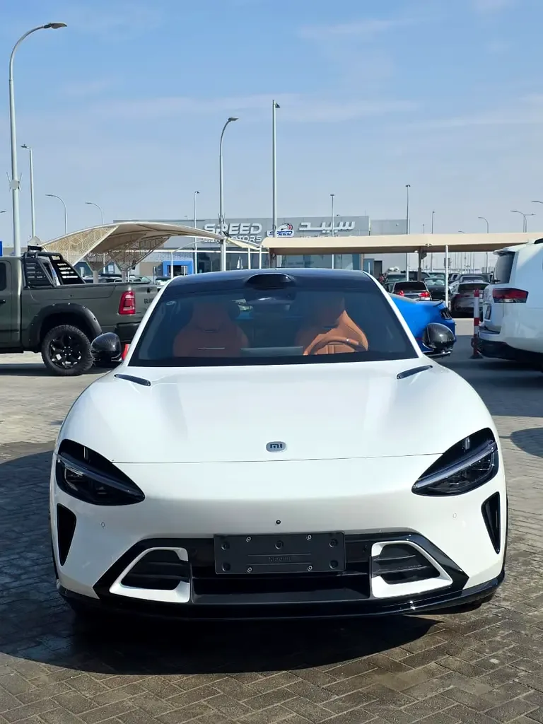 Xiaomi YU7 E AT RWD (320 hp)