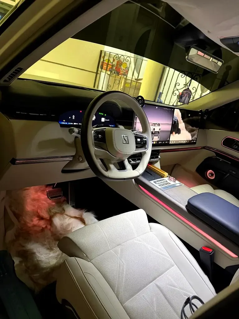 Zeekr 9X 2.0 AT AWD (1177 hp) - 5