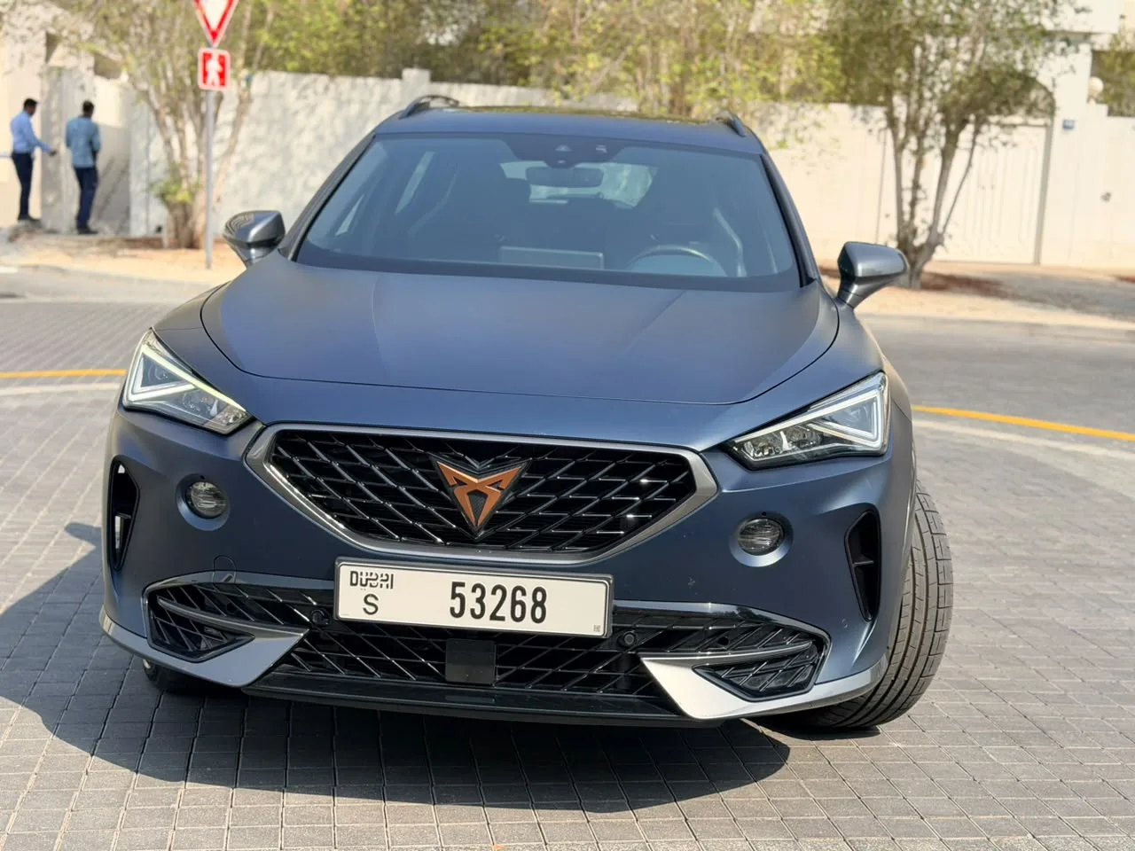 Cupra Formentor 2.0 AMT 4WD (333 hp) - 2