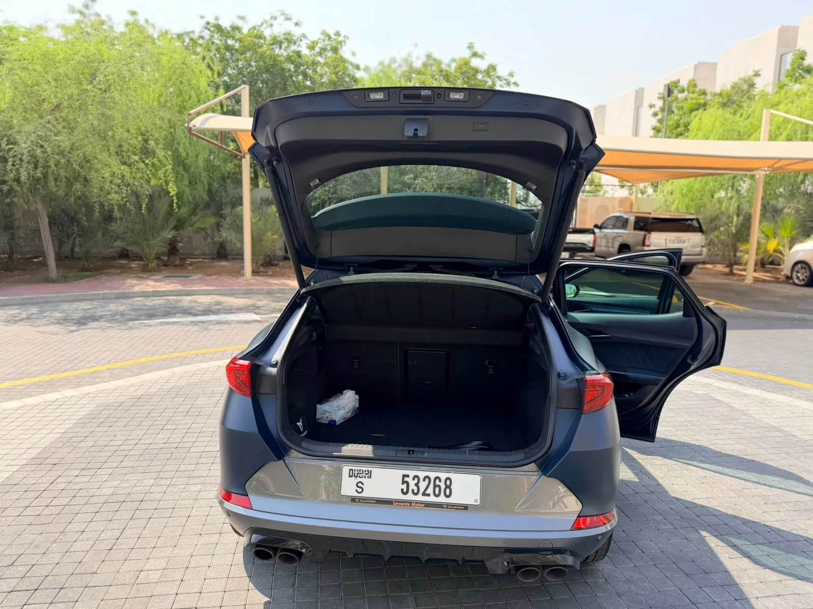 Cupra Formentor 2.0 AMT 4WD (333 hp) - 12
